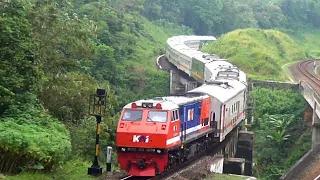 EXOTIC..‼️A WINNING RED BLUE LOCOMOTIVE IN THE BEST SPOT DAOP 5 PWT