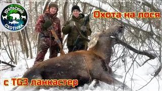 Охота на лося с лайками - TG3 в деле.