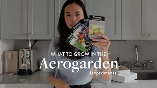 BEST PLANTS for the AEROGARDEN using the grow anything kit! (peppers, tomatoes, lettuces + herbs)