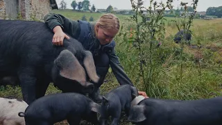 The Pig Farmer