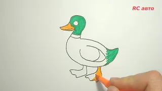 Как нарисовать утку /how to draw а duck