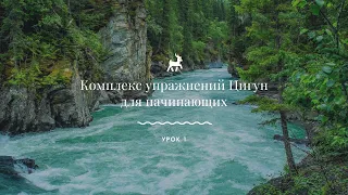 Урок 1. Комплекс упражнений Цигун для начинающих, 4 мин.