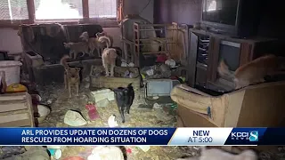 ARL of Iowa says some dogs rescued from Carroll County hoarding case will not survive