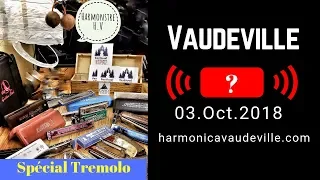 Chose you first tremolo harmonica (live 03 octobre 2018)