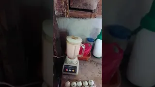 Suka sa balut