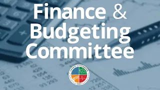 2023.05.15 Finance & Budgeting Committee Meeting
