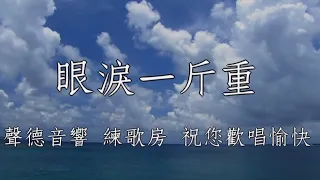 眼淚一斤重 楊哲 男調卡啦OK伴唱