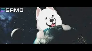 Samoyedcoin в зоне накопления