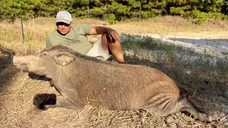 Trapped Huge Wild Boar Pig / Bluegill Catch*Clean*Cook Using Hovsco E-Bike