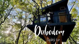 Dubodom- treehouse in Slovakia. Deň a noc v dome v korunách stromov, Svätý Jur.