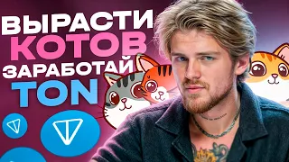 CATIZEN P2E ИГРА В ТЕЛЕГРАММЕ / ЧТО ДЕЛАТЬ С КОТАМИ?