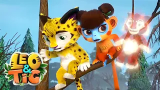 Leo and Tig 🦁 The Mysterious guest 🐯 Best episodes 🦁 Funny Family Good Animated Cartoon for Kids
