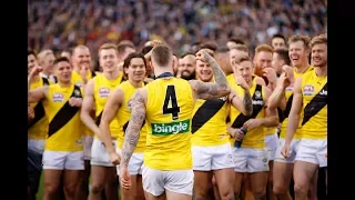 Dustin Martin Highlights VS Adelaide (2017 Grand Final)