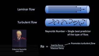 Reynolds Numbers and Turbulence (Fluid Mechanics - Lesson 11)