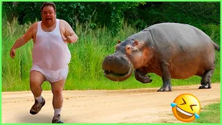 Best Funny Videos 🤣 - People Being Idiots | 😂 Try Not To Laugh - BY JOJO TV  🏖️ #16