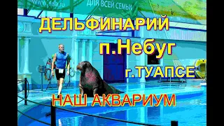 🌴🌴ДЕЛЬФИНАРИЙ ✅п.НЕБУГг🐬.ТУАПСЕ И✅🐠НАШ АКВАРИУМ🐟