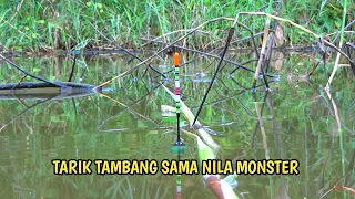 kalau cuma cerita pasti tidak percaya! sungai kecil ini banyak nila babon nya