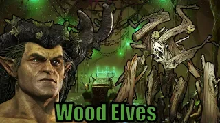 How to Improve the WOOD ELVES in Total War Warhammer 2