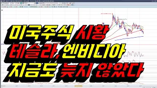 테슬라 엔비디아 지금도 늦지 않았다/미국증시 시황