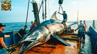 Giant swordfish processing process in the factory | Processing Factory