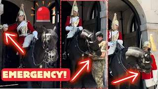 Horse Starts Attacking Everyone, Kings Guard Smashes Emergency Button in Time.