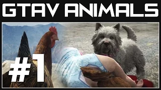 GTA 5 Peyote Plant Locations Part 1 - "Play As Animals" | Chicken & Dog