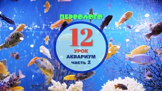 ПервоЛого. Аквариум - часть 2