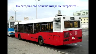 Проект "Давайте вспомним транспорт" 2-й сезон автобусы МАЗ (часть 1)