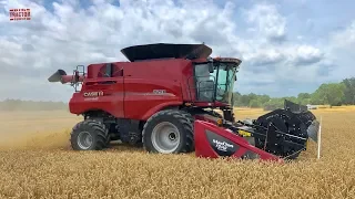 All New Case IH 8250 Axial-Flow Combine Harvesting Wheat