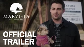 A Dogwalker's Christmas Tale - Official Trailer - MarVista Entertainment