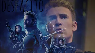 (marvel) Captain America I Despacito