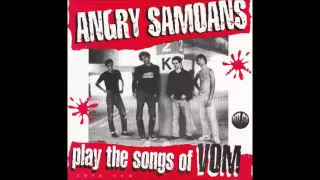 Angry Samoans "I'm In Love With Your Mom" (1978 DEMO - MONO version)