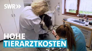 Luxus Haustier? Tierarztkosten deutlich gestiegen | Zur Sache! Rheinland-Pfalz