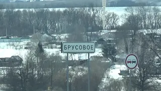 голуби с северной стороны