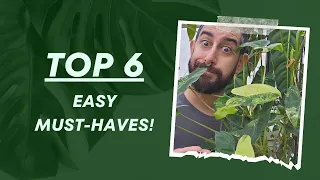 Easy-Care Rare Plants: Top 6 🌿🤯 | Easy & Uncommon Houseplants You NEED! 🌱| Not Your Basic Plants! 🌿🚫