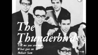 The Thunderbirds -  My Lonely Heart ( rare version with Orchestra )