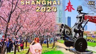 Spring in Shanghai is a Flowers World！Shanghai's Famous Free Park Walk Tour 2024 上海的春天是一个花花世界！免费赏花公园