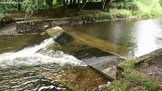 Ballygaddy Hydrometric Weir fish passage barrier, River Clare, Co Galway