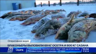 Внедорожник с 70 кг осетра задержали в Атырауской области