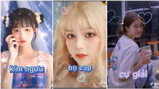 Bí Ẩn 12 Cung Hoàng Đạo Tik Tok 2021 💯 Top 12 Cung Hoàng Đạo Tài Giỏi P. 24