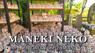 Discover the Cat Temple: Birthplace of Maneki-neko | Tokyo Walking Tour 🇯🇵 【4K HDR Spatial Audio】