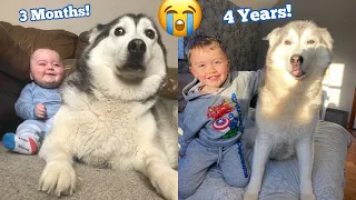 4 Year Time Lapse Of My Husky & Baby Cuddling & Becoming Best Friends!! [WITH MUSIC]