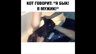 РЖАЧ!!!КОТ КРИЧИТ "Я БЫК,Я МУЖИК"