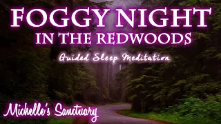 1 HR Bedtime Story for Grown Ups | Foggy Night in the Redwoods | Deep Sleep Story and Meditation