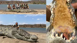 Monster Man-eating crocodile Zambezi river Zimbabwe