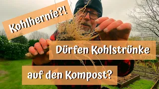 Dürfen Kohlstrünke auf den Kompost? Kohlhernie einfach erklärt / Noch mehr Chilis / Löcher im Dach