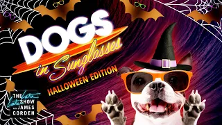 Dogs In Sunglasses: Halloween Edition