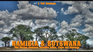 Namibia und Botswana - fünf Wochen unterwegs zwischen Etosha, Chobe und Okanvango TEIL 2