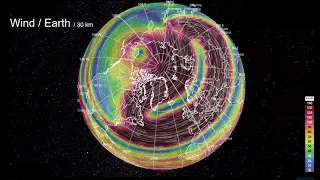 The Polar Vortex Collaps - January 2021