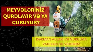 Meyvələriniz çürüyür və ya qurdlu olur?